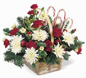 Candy Cane Lane Arrangement from Clermont Florist & Wine Shop, flower shop in Clermont